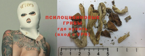 2c-b Алзамай