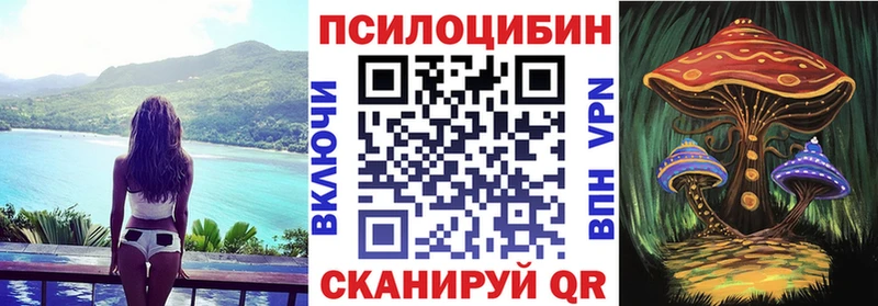 Псилоцибиновые грибы Cubensis  маркетплейс какой сайт  Шуя 